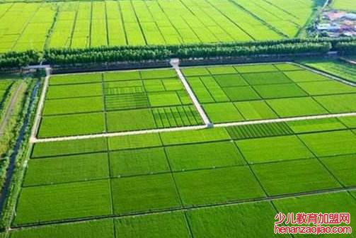 梯形田地如何计算亩数公式？