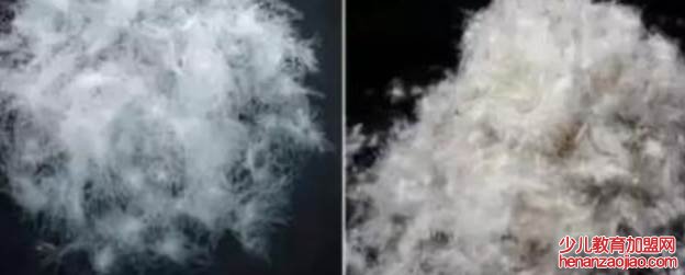 灰鸭绒和白鸭绒的区别是什么？