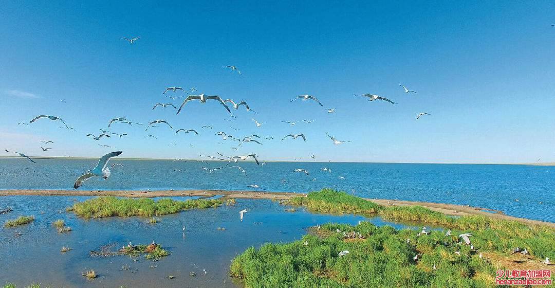 全国淡水湖排名是怎样的？