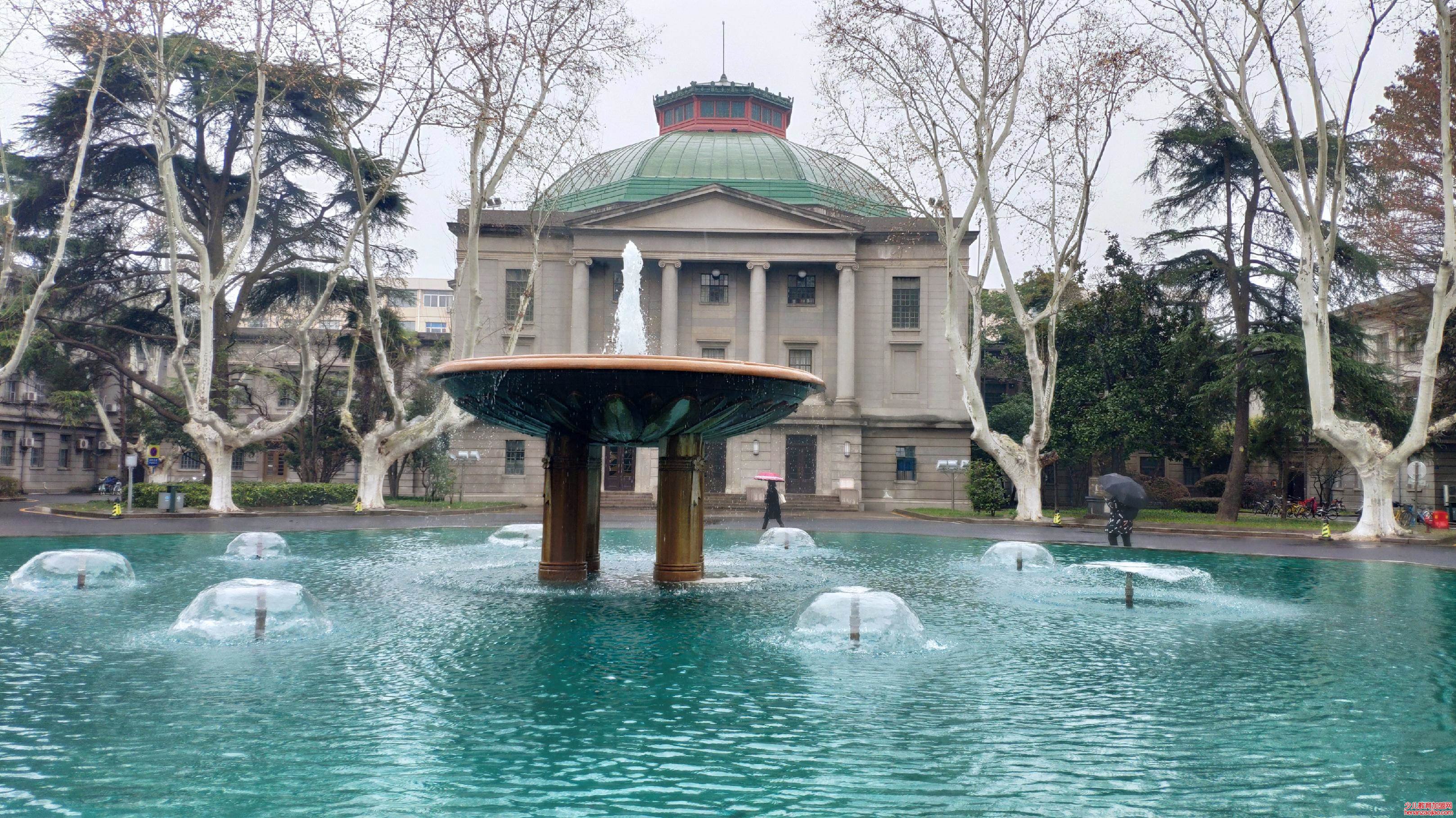 东南大学的王牌专业排名是什么?