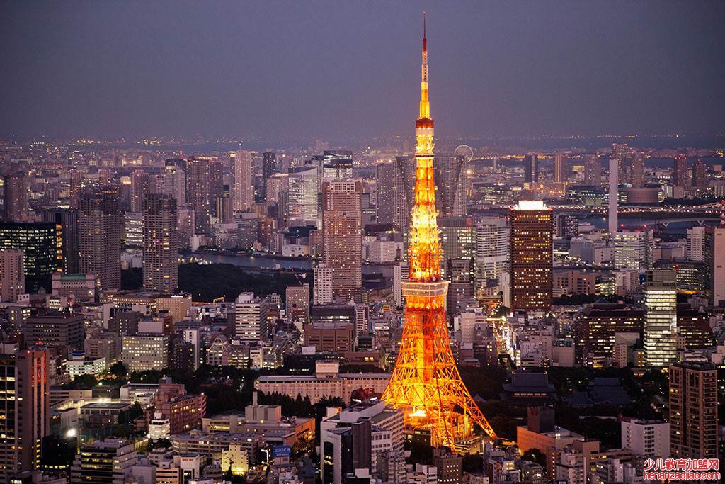 世界面积最大排名前十的城市有哪些?