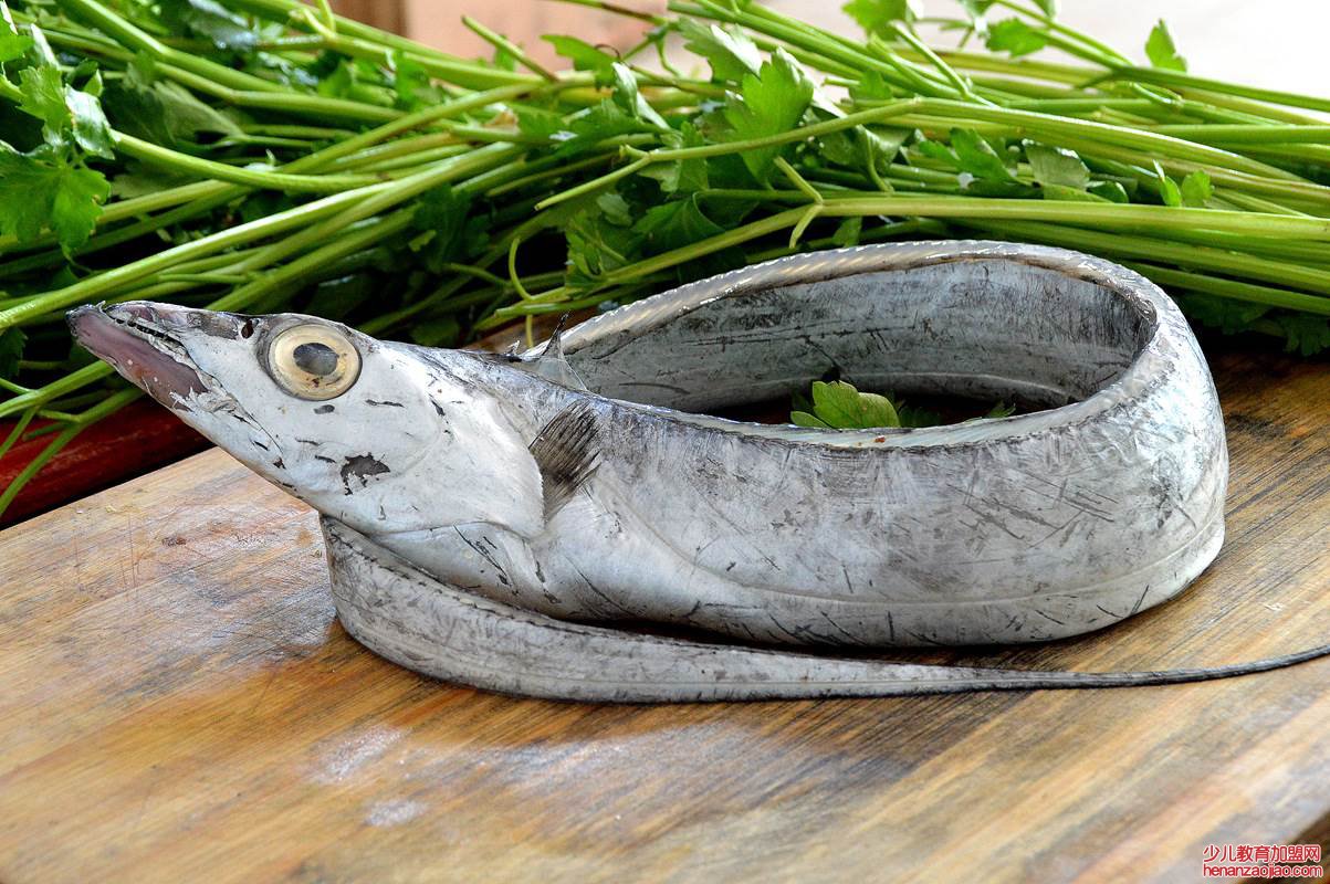 最好吃的鱼排名是什么？