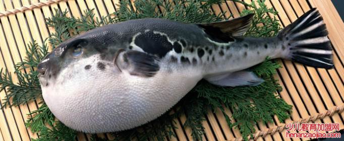 最好吃的鱼排名是什么？