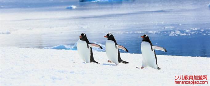 南极和北极更冷的是哪里？