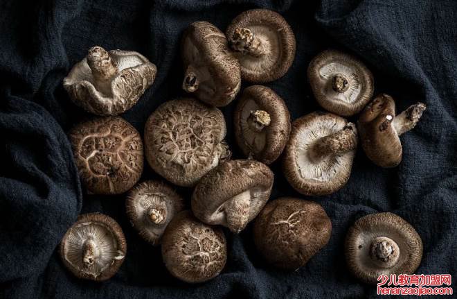 冬菇有没有毒？