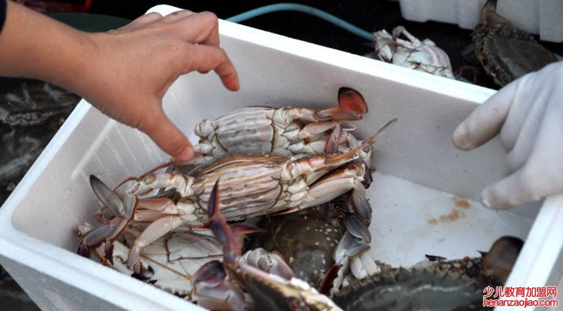 山东潍坊十大特产是什么？