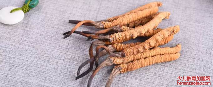 十大最好的菌菇排名是什么?