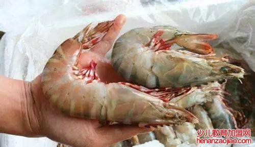 全国最便宜海鲜在哪里？