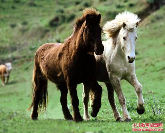 勾三搭四指什么生肖？