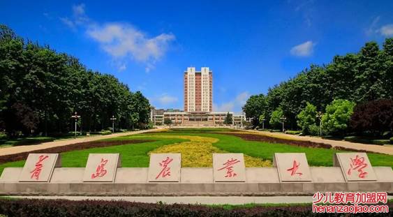 山东省考研率较高的几所大学是哪几所?