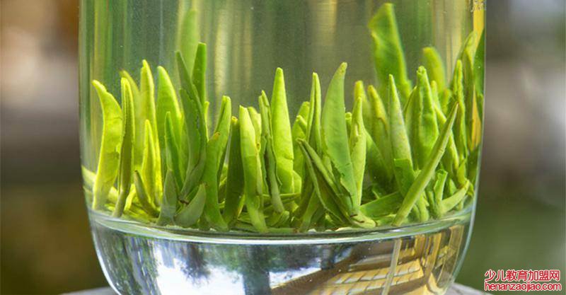 口碑最好的茶叶是什么茶?