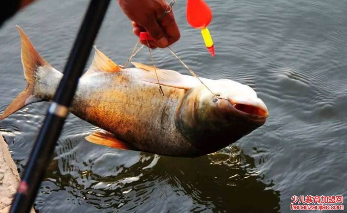 手竿一般几米的最好？