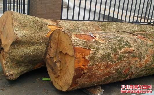 中国的四大名贵木材是什么?