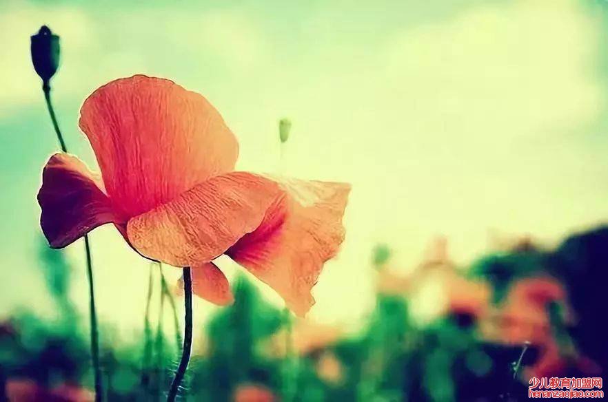 精致走心的经典句子有哪些?