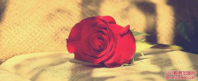 精致走心的经典句子有哪些?