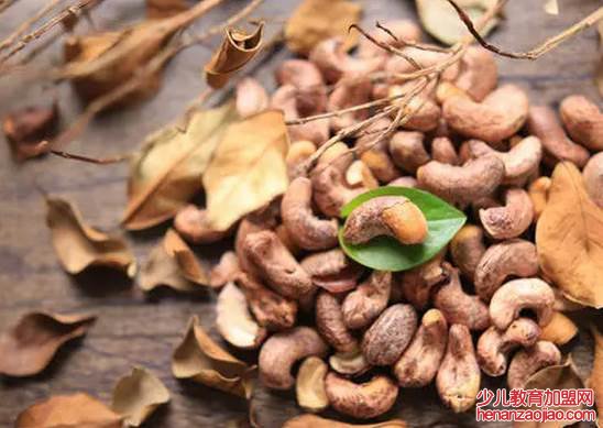 腰果的害处是什么？