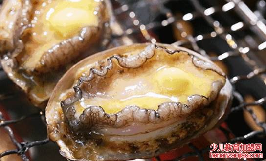 鲍鱼正确打开方式是什么?