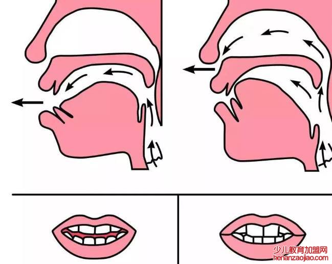 平舌音和翘舌音有哪些字母表?