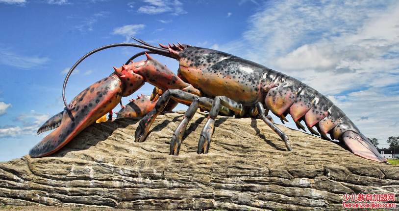 世界上最大的龙虾是什么品种?