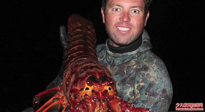 世界上最大的龙虾是什么品种?