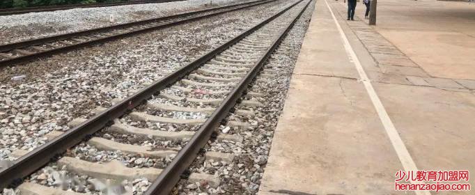 世界上最坚硬的木材是什么?