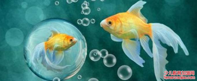 鱼离开水为什么会死？