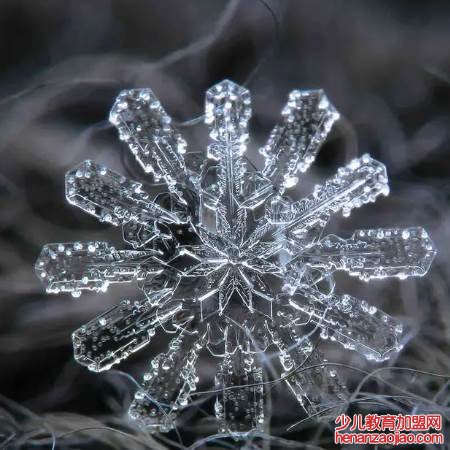 纯净的雪是什么颜色的？