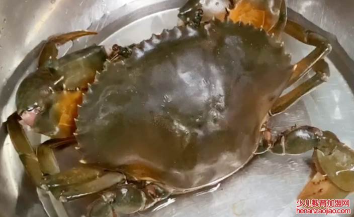 螃蟹怎么保存才新鲜?能保存多久?