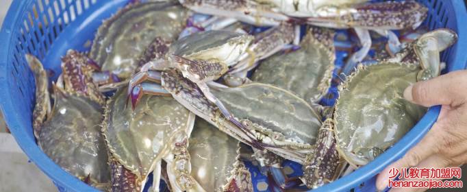 螃蟹怎么保存才新鲜?能保存多久?