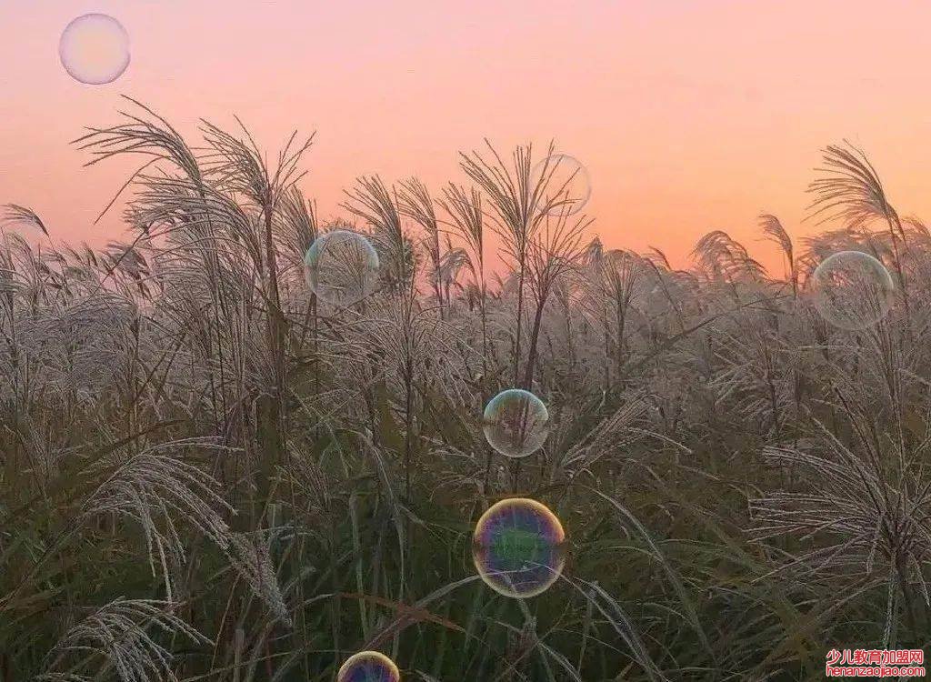 暗喻的句子有哪些？