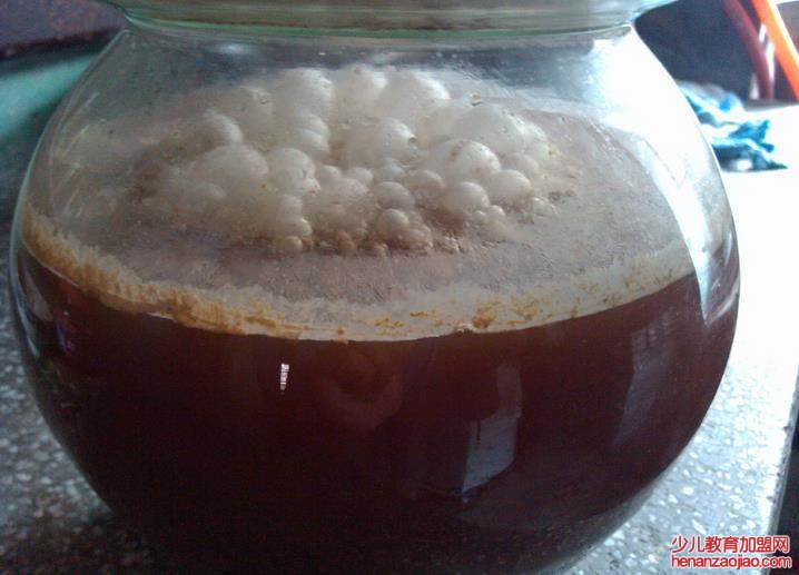 自酿葡萄酒含有什么有害物质?