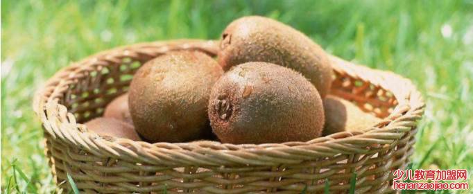 奇异果又叫什么名字？