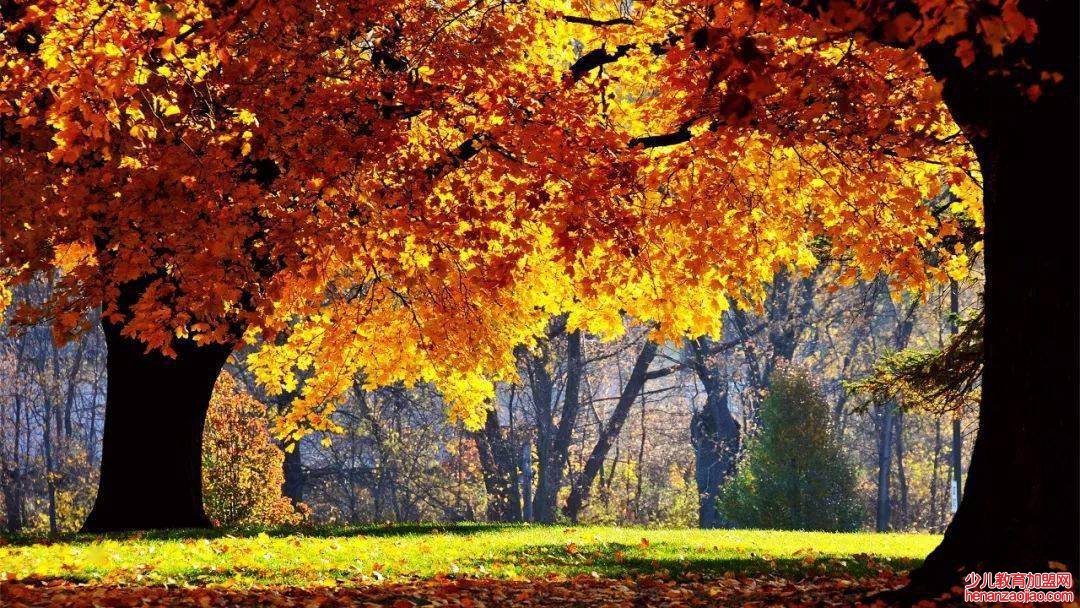 形容秋天的优美句子有哪些?