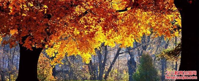 形容秋天的优美句子有哪些?