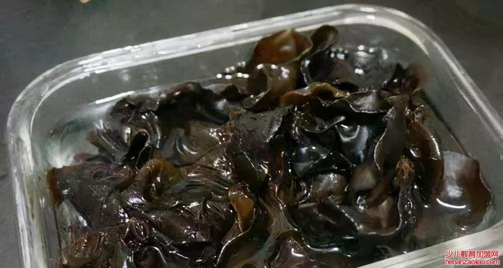 木耳需要泡多久？