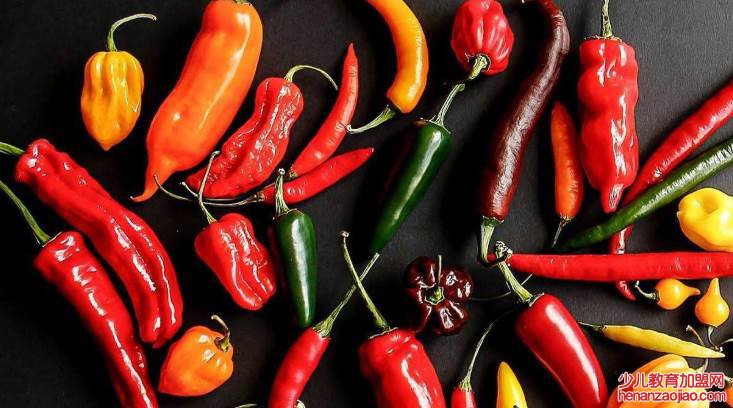 辣椒原产地是哪个国家?