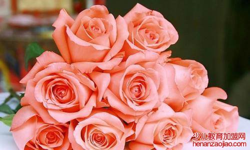 粉色玫瑰花语是什么？