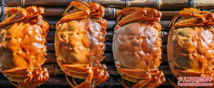 河蟹蒸多久是最佳时间?