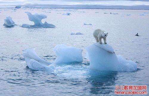 环境问题有哪些?