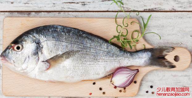 鱼的心脏与人的心脏的区别在于什么？