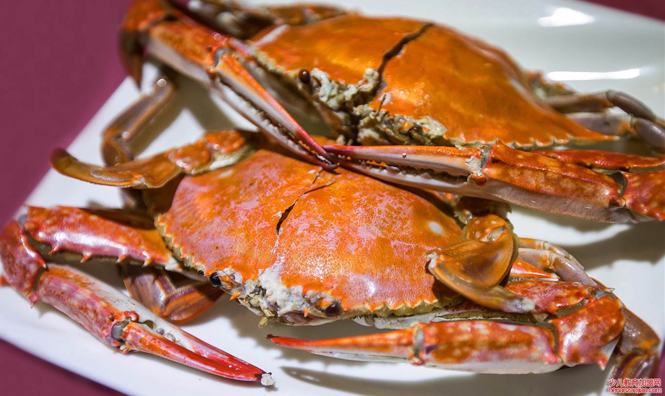 梭子蟹清蒸多少分钟？