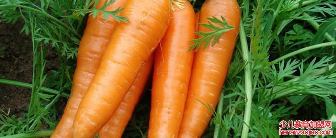 叶黄素对眼睛有什么好处和作用?