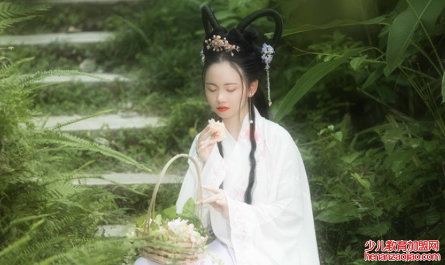 思美人这里的美人是指什么?