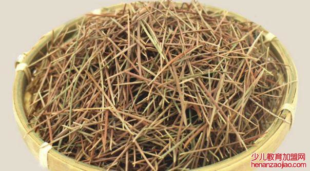 松针怎么铺花盆？