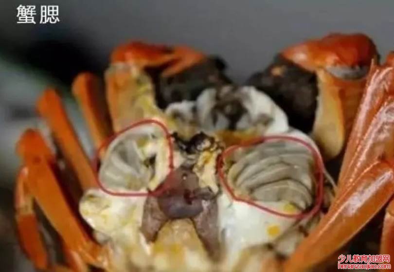 螃蟹怎么吃？