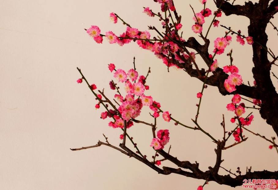 关于花的诗句有哪些?