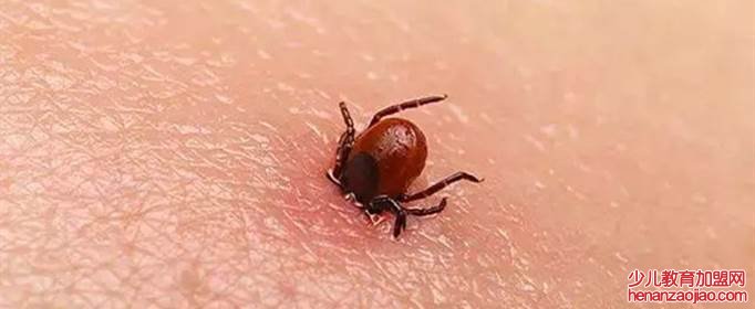 蜱虫一般生活在什么地方？