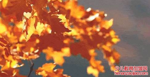 2021年出伏天是哪一天？