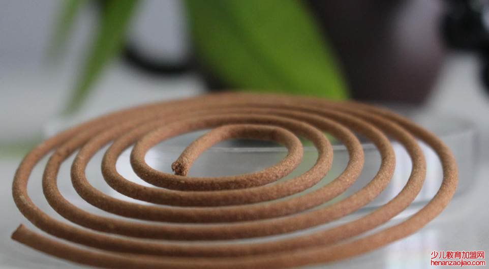 家里有壁虎怎么办？