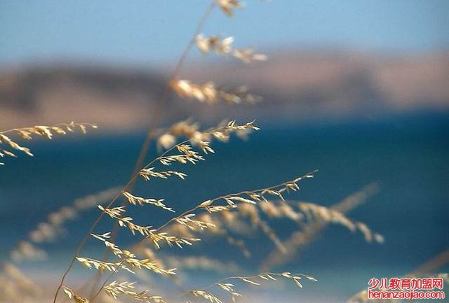 处暑以后还会热吗？